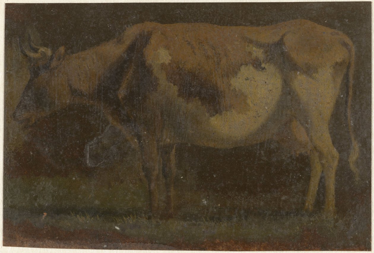 Vaca em pé, à esquerda de Pieter Janson