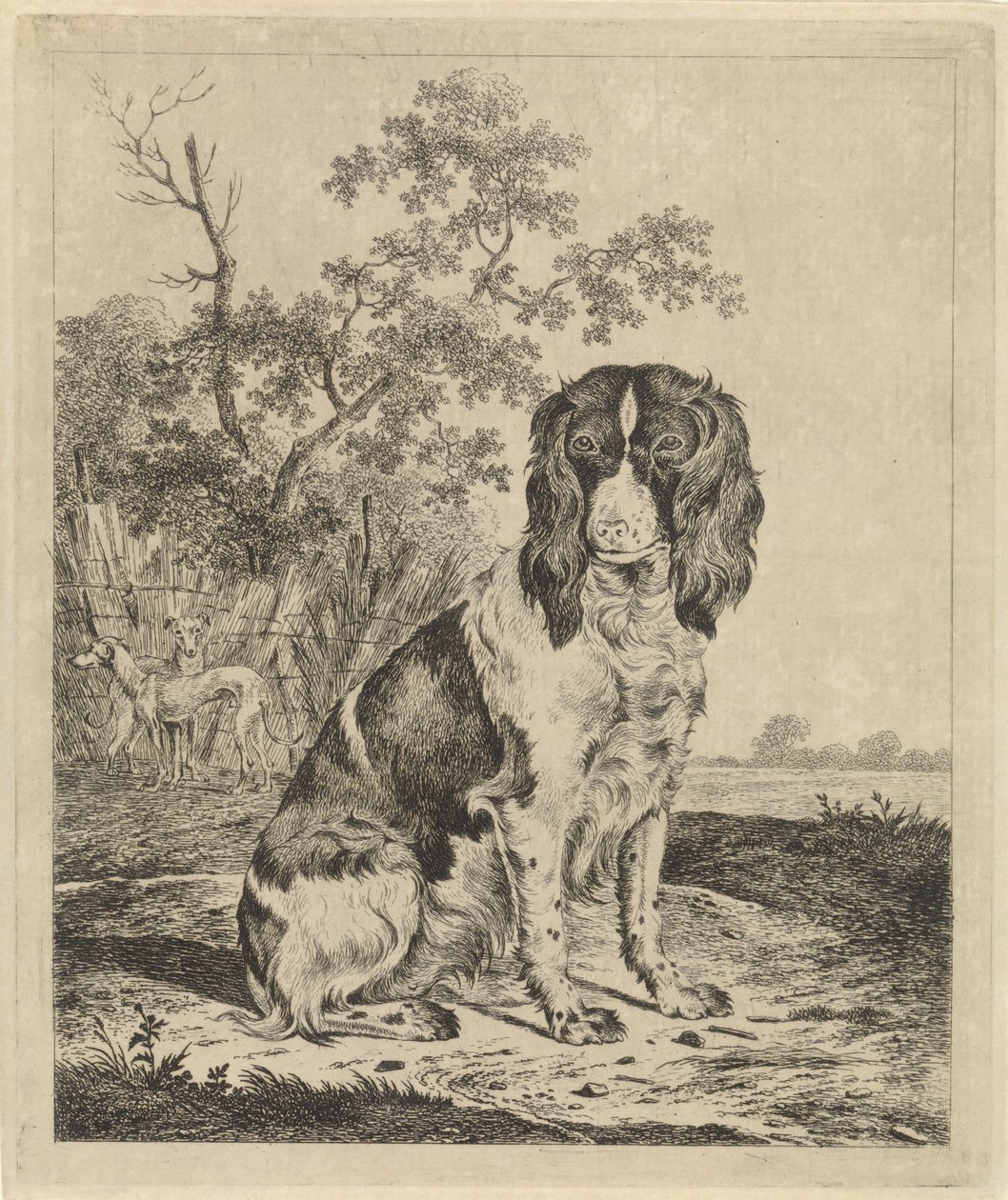 Cachorro perdiz sentado de Pieter Janson