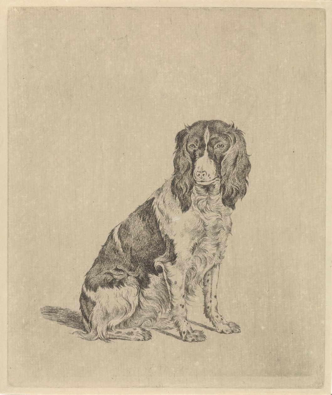 Cão sentado de perdiz de Pieter Janson