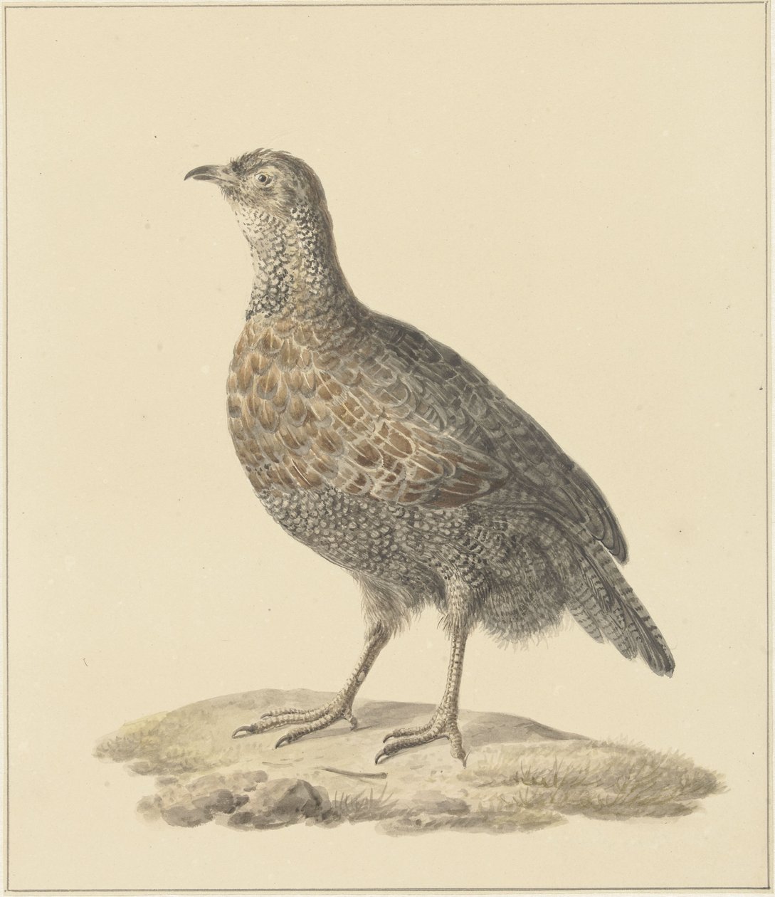 Patrice (?) de Pieter Pietersz. Barbiers