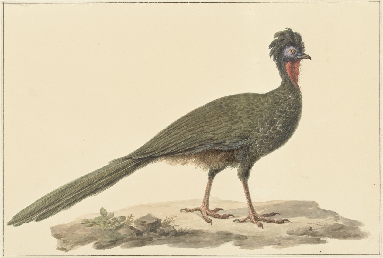 Penélope, no chão de Pieter Pietersz. Barbiers