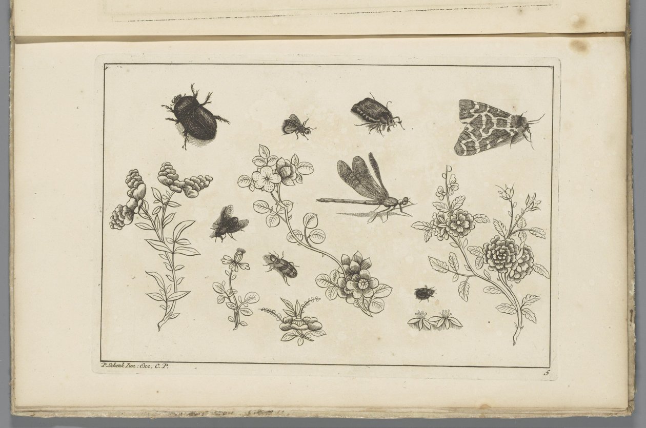 Ramos de flores com insectos
Flores e insectos chineses (título da série) de Pieter Schenk (II)