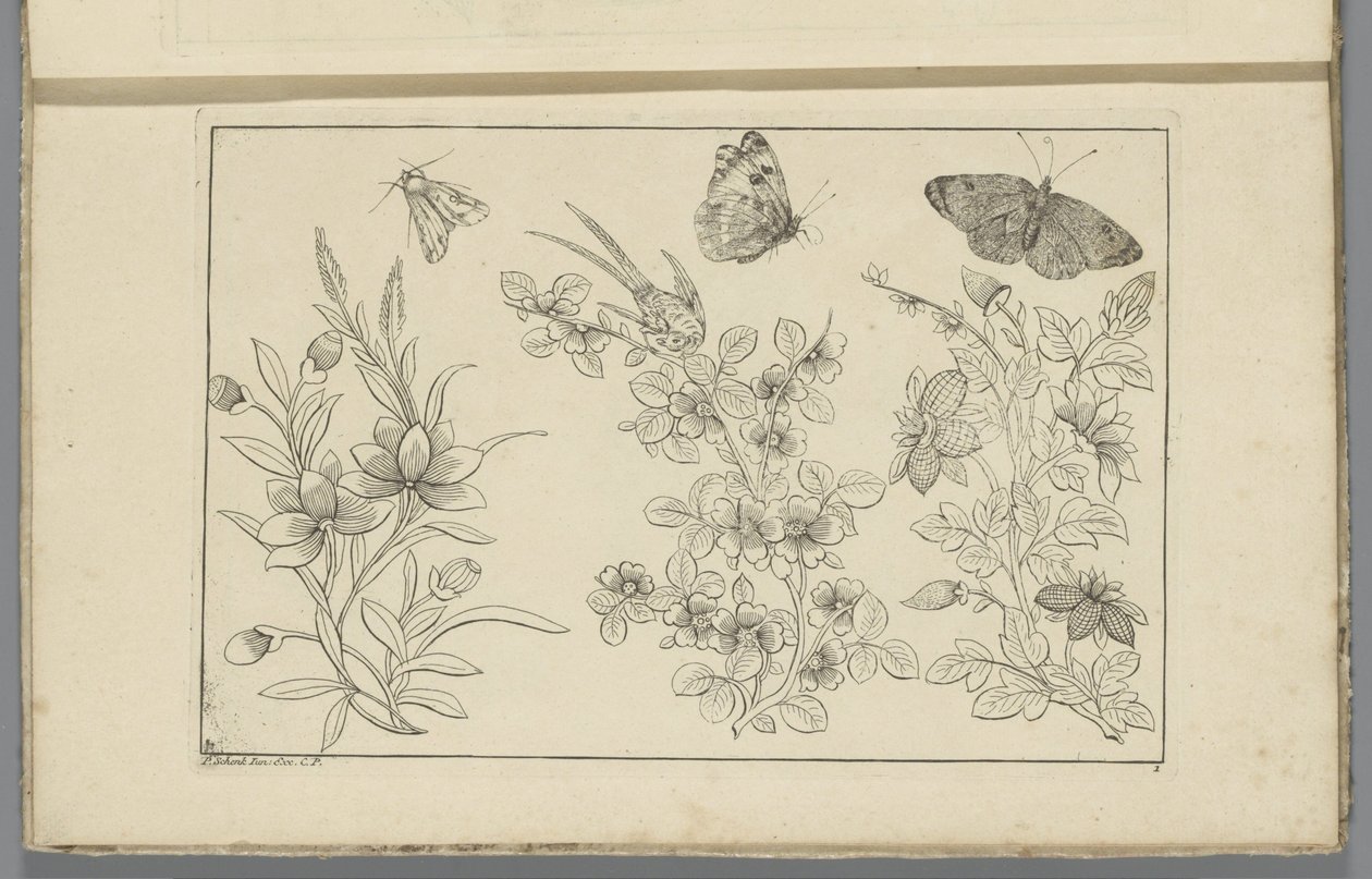 Três ramos de flores e três borboletas
Flores e insectos chineses (título da série) de Pieter Schenk (II)