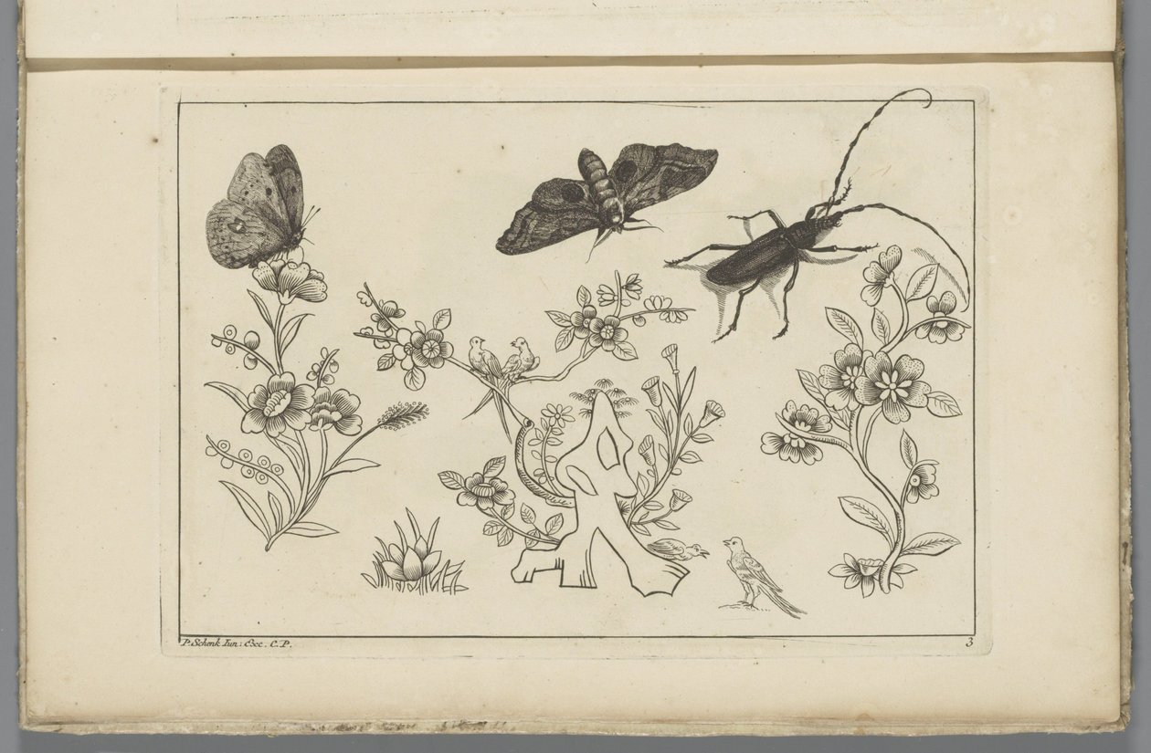 Três ramos de flores com pássaros, borboletas e um insecto
Flores e insectos chineses (título da série) de Pieter Schenk (II)