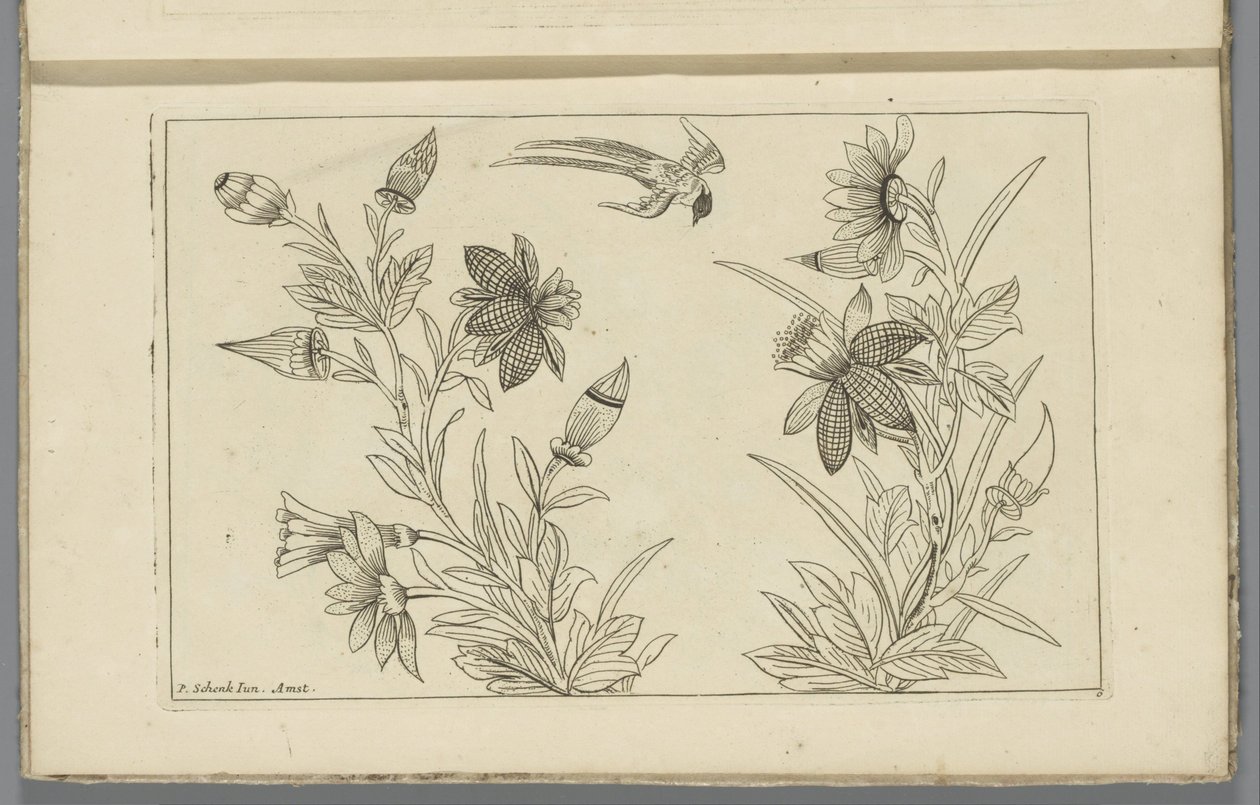 Dois arbustos de flores e uma andorinha Flores e pássaros chineses (título da série) de Pieter Schenk (II)