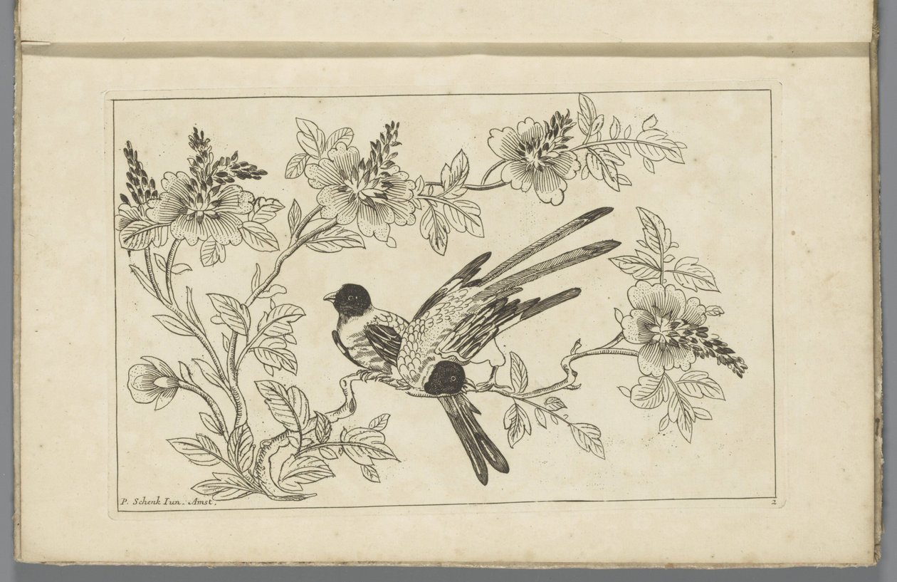 Duas aves num ramo em flor
Flores e pássaros chineses (título da série) de Pieter Schenk (II)