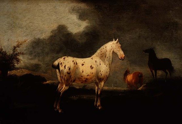 Paisagem com um cavalo cinzento, c.1670 (óleo sobre painel) de Pieter Wouwermans or Wouwerman