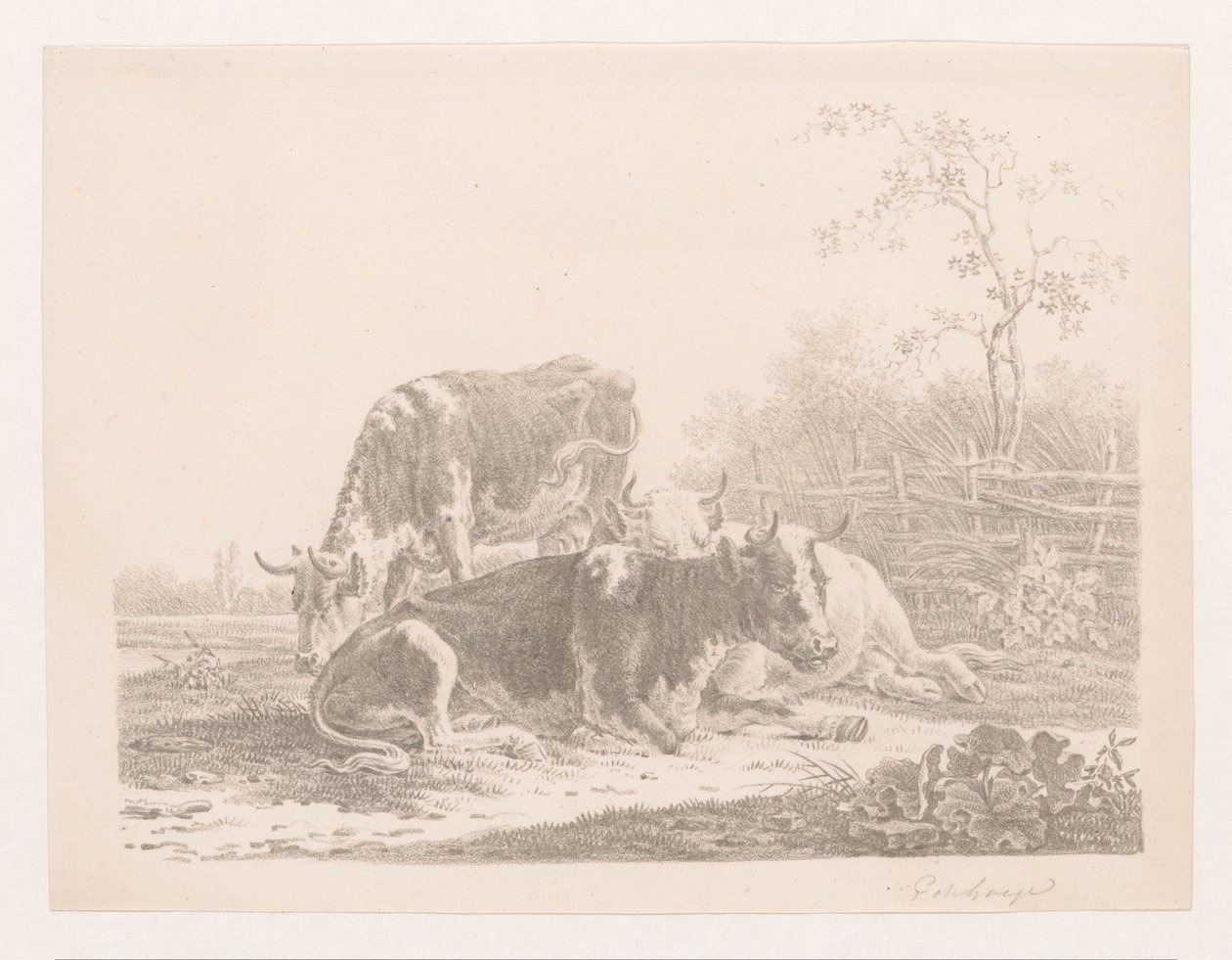 Três vacas num prado junto a uma cerca de Pieter de Goeje