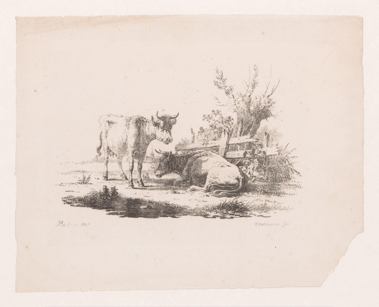 Duas vacas perto de uma cerca e um salgueiro de sondagem de Pieter de Goeje