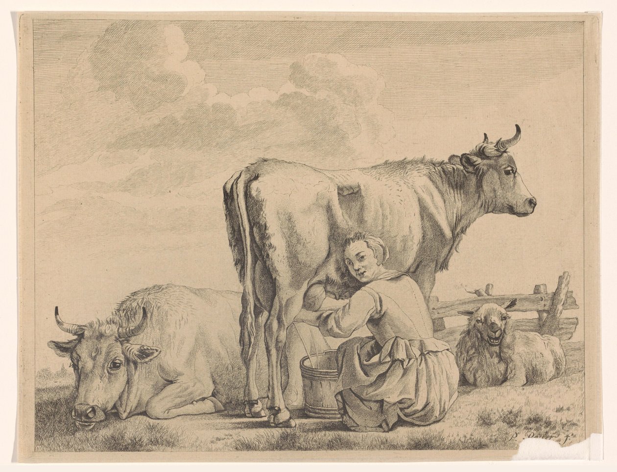 Instalações de ordenha de Pieter de Mare