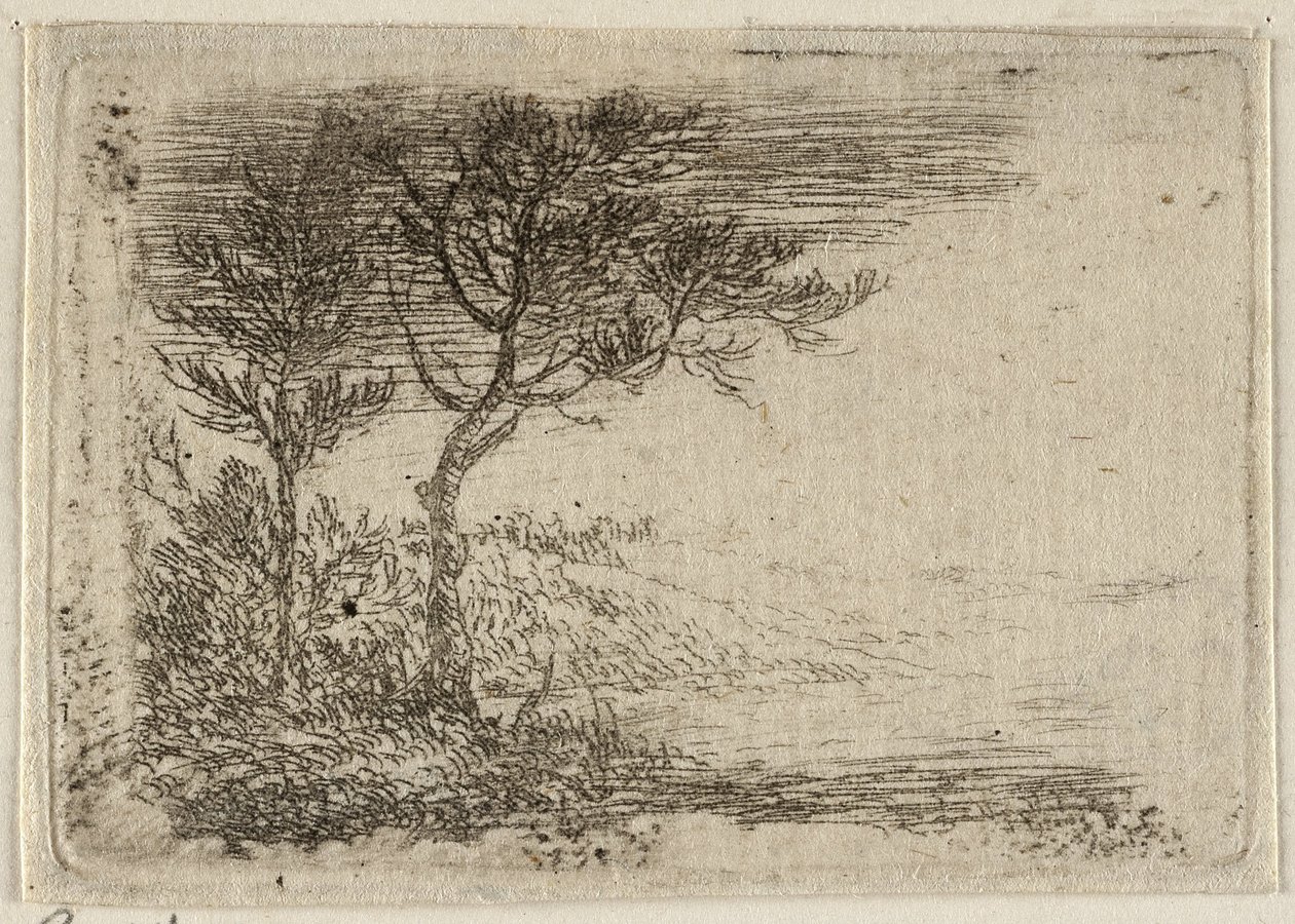 Alemão: Paisagem com duas árvores de Pieter van Laer