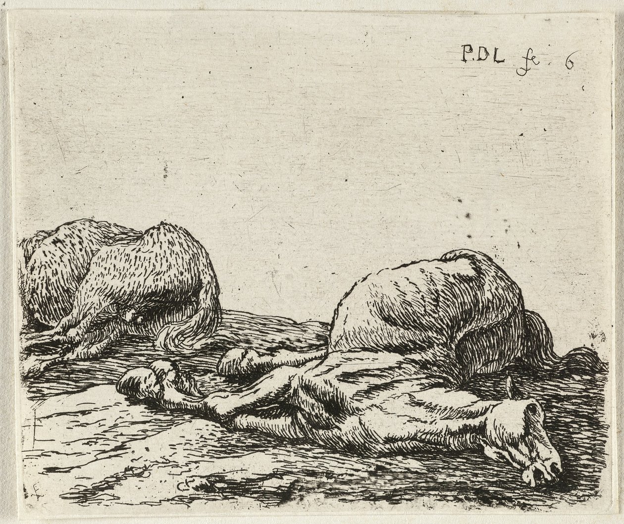 Alemão: Zwei tote Pferde
Francês: Les deux chevaux morts
Dois cavalos mortos de Pieter van Laer