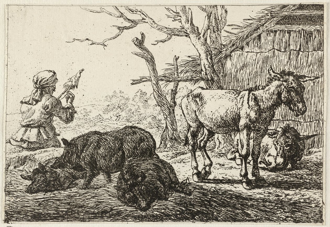 Suínos e burros num estábulo, à esquerda uma mulher fiandeira de Pieter van Laer