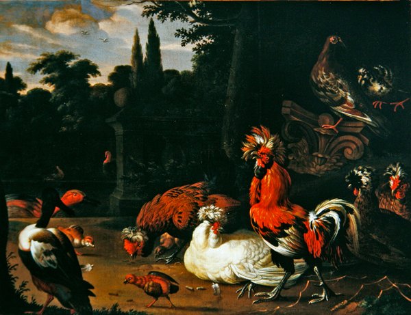 Um galo, galinhas, pintos e patos num ambiente de jardim (óleo sobre tela) de Pieter van Mase