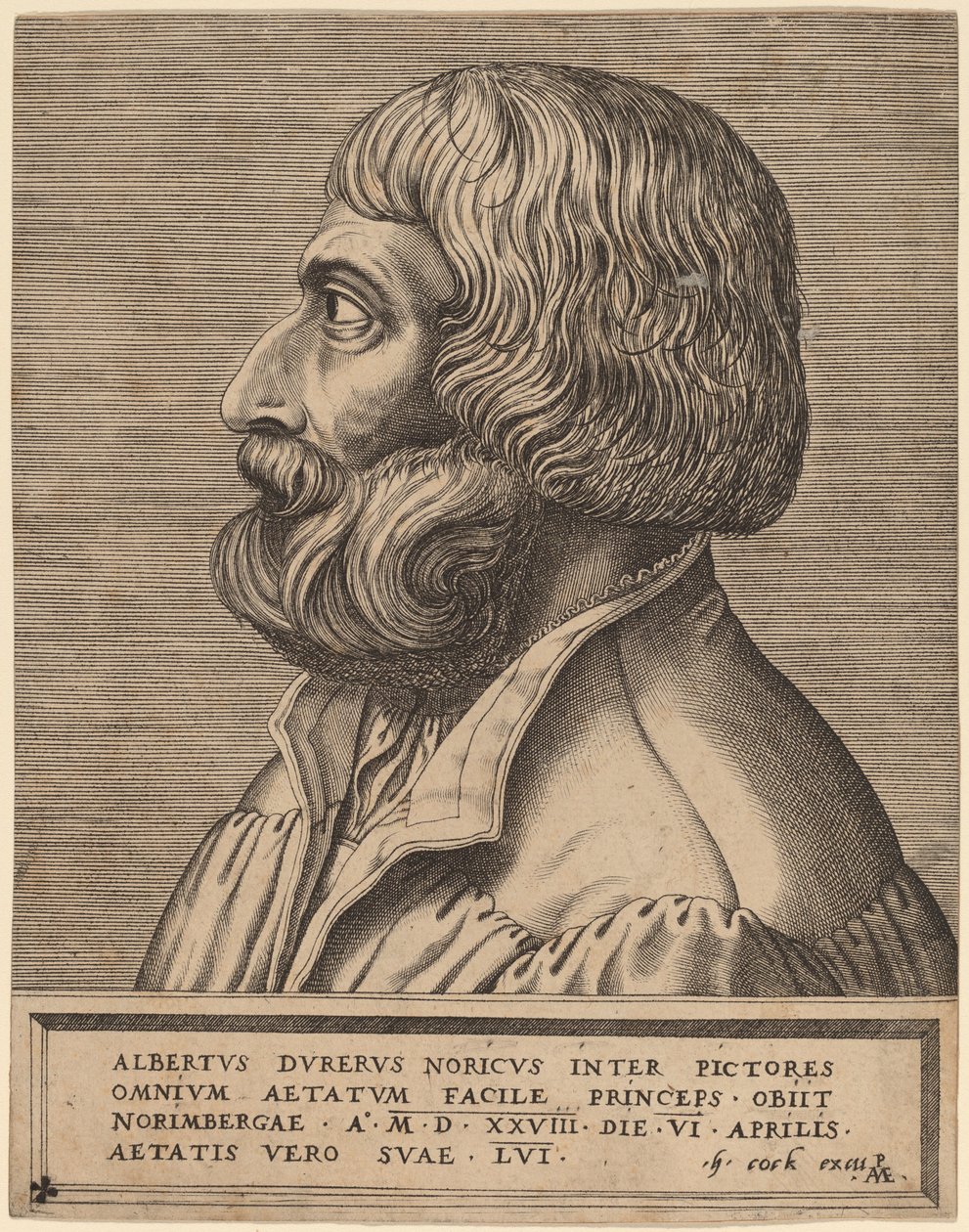Albrecht Dürer de Pieter van der Heyden