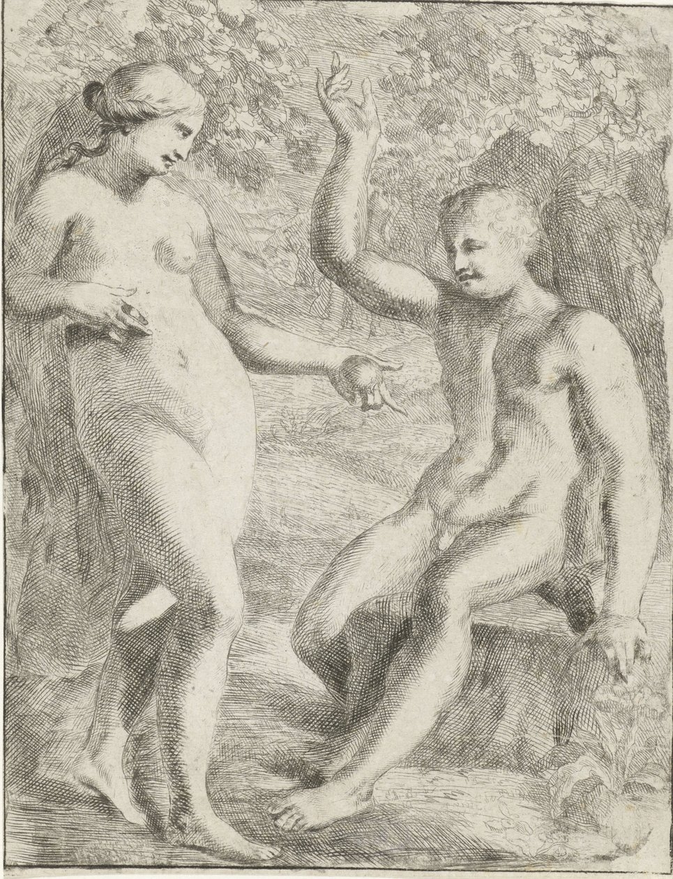 A queda de Pieter van der Plas (II)