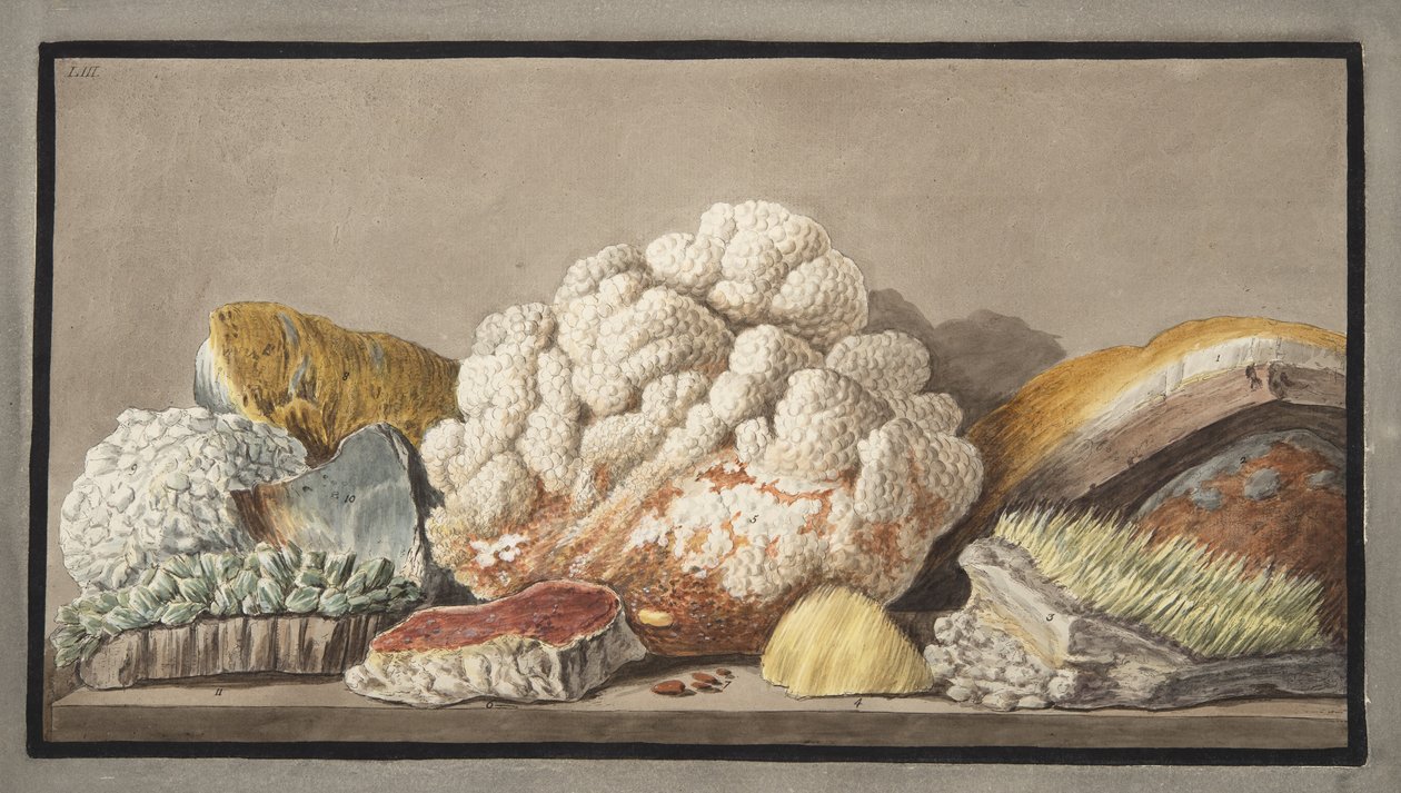 Produções da Solfaterra, placa 9 de &39;Campi Phlegraei: Observações sobre os vulcões das Duas Sicílias&39;, de Sir William Hamilton (1730-1803), publicado em 1776 de Pietro Fabris