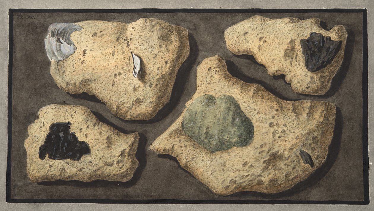 Espécimes de tufas dos quarry perto da gruta de Pausilipo, placa XXXXII, de &39;Campi Phlegraei: observações sobre os vulcões das duas Sicílias&39;, por Sir William Hamilton (1730-1803), publi de Pietro Fabris