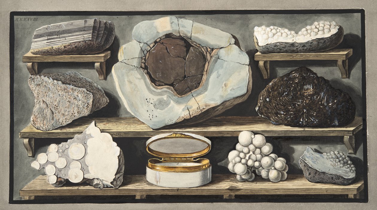 Espécimes de pedras curiosas encontradas pelo Autor no Monte Vesúvio, placa XXXXVIII, de &39;Campi Phlegraei: Observações sobre os vulcões das Duas Sicílias&39;, por Sir William Hamilton (1730-1803), publi de Pietro Fabris