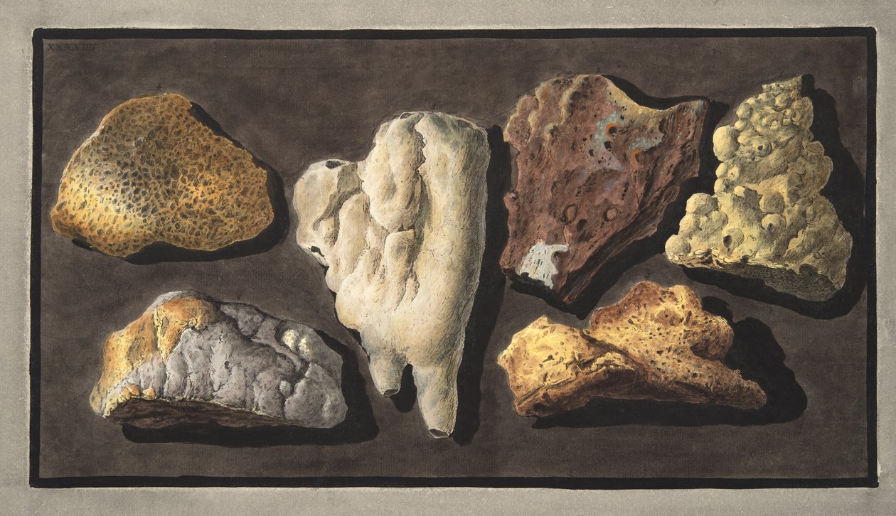 Espécimes de matéria vulcânica retirados do interior da cratera do Vesúvio, placa XXXXIV, de &39;Campi Phlegraei: Observações sobre os vulcões das Duas Sicílias&39;, por Sir William Hamilton (1730-180 de Pietro Fabris