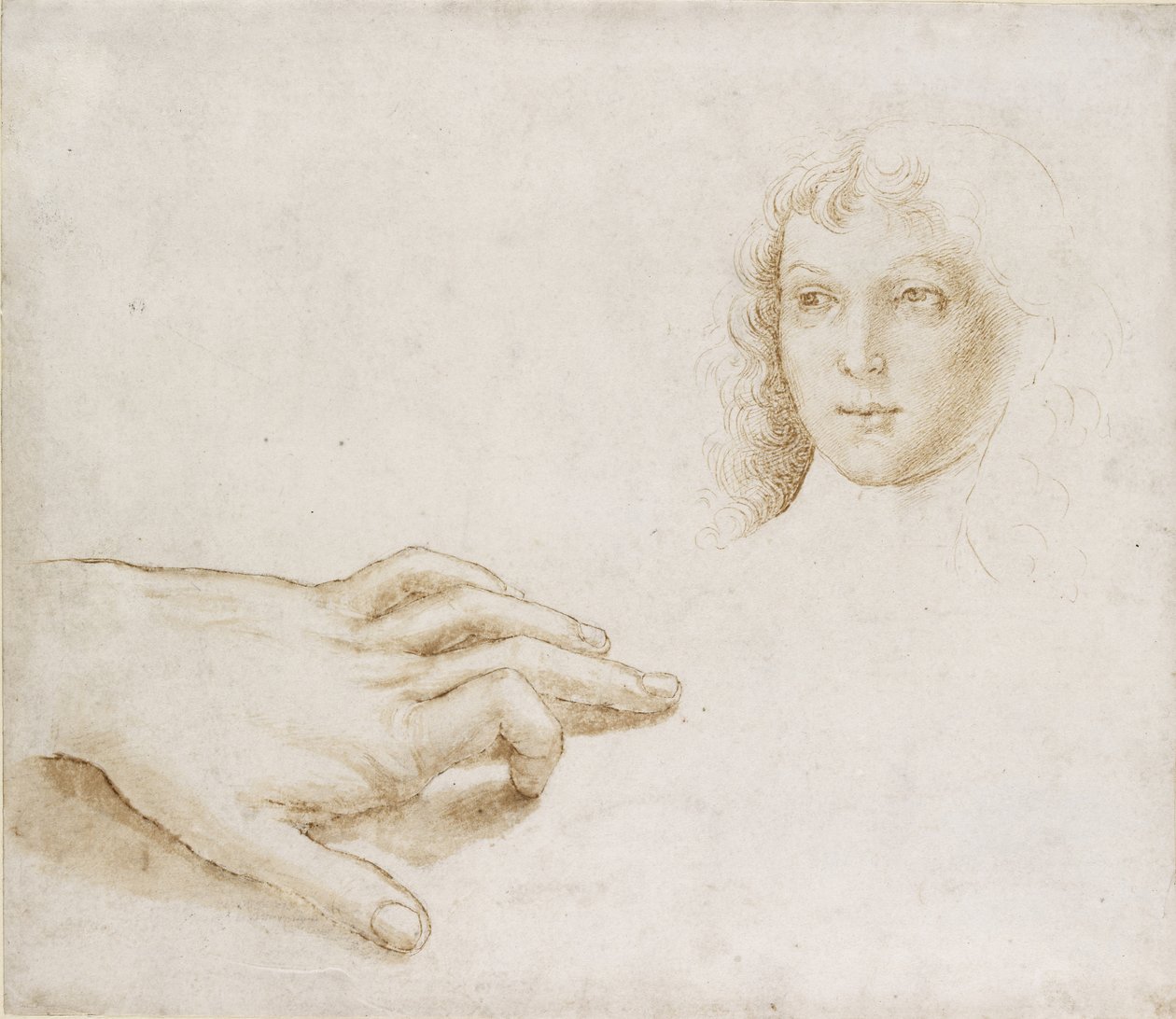 Estudos de uma cabeça e uma mão, WA1846.8 de Pietro Perugino
