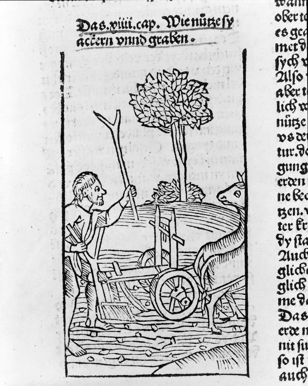 Xilogravura, mostrando, um, agricultor, arar, um, campo de Pietro de