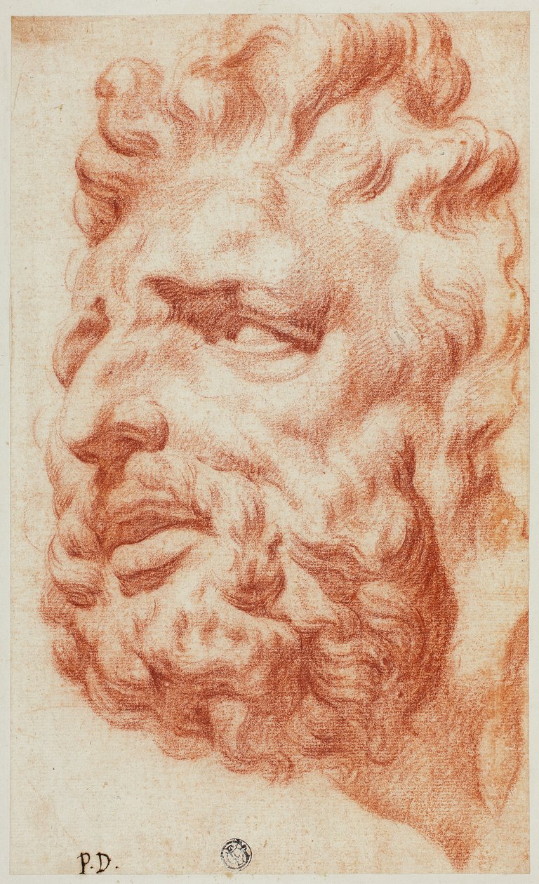 Chefe de Laocoonte de Pietro Dandini