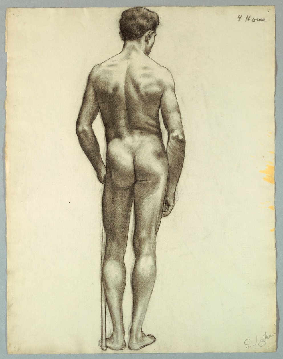 Nu masculino em pé visto de costas de Pietro Montana
