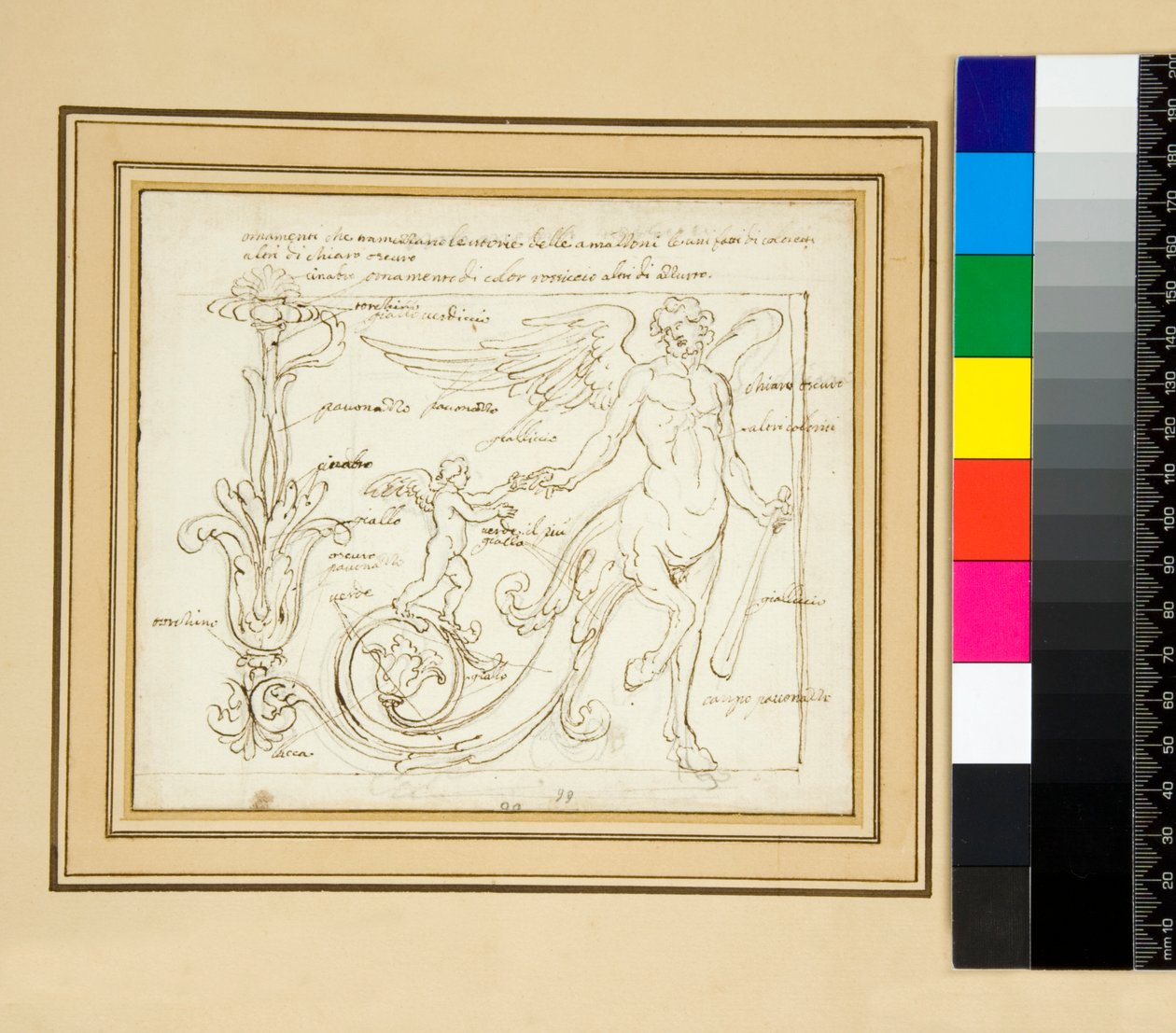 Ornamentos que dividem as vistas das Amazonas (alguns feitos de cor, outros de oscuropen claro) de Pietro Santi Bartoli