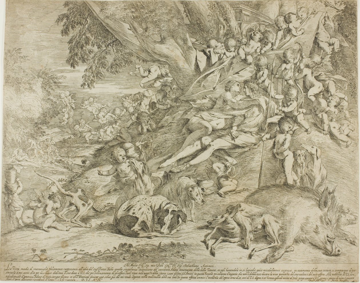 Vênus e Adônis de Pietro Testa