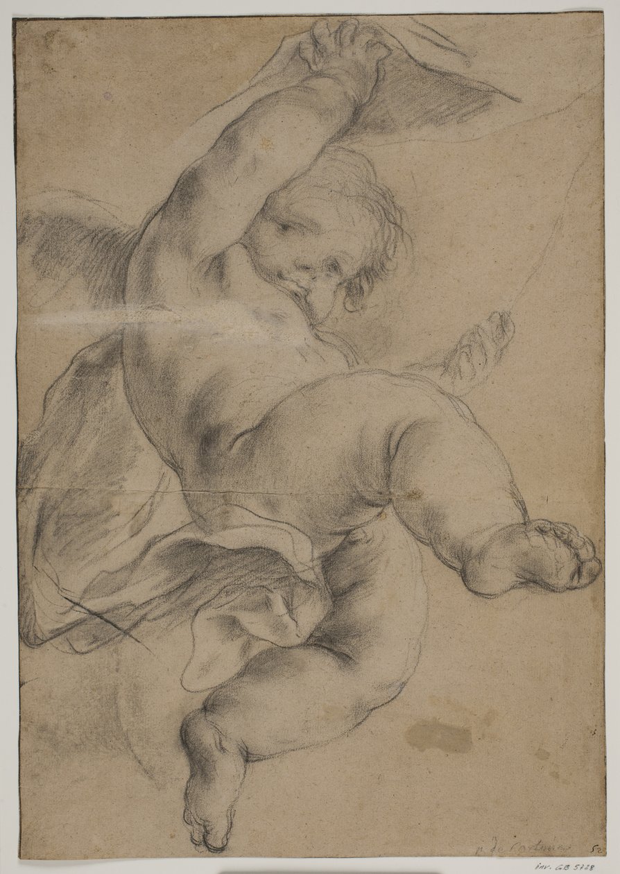 Voando putto levantando uma cortina de Pietro da Cortona