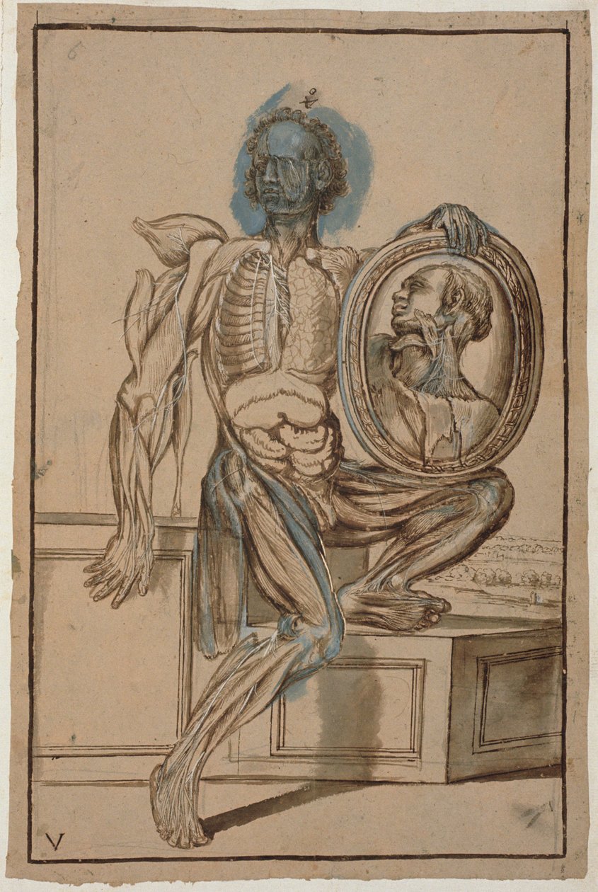 Ms Hunter 653 Desenho Anatômico da Placa V, c.1610 (lápis e giz sobre papel) de Pietro da Cortona