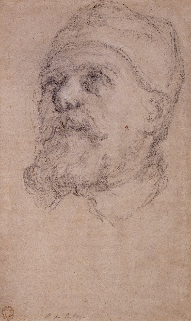 O Chefe do Papa Urbano VIII de Pietro da Cortona