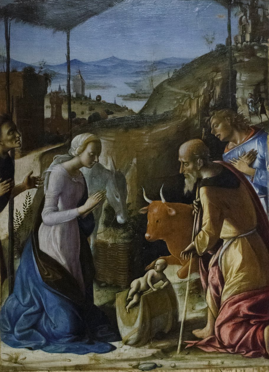 Adoração dos Pastores, c.1493-96 (têmpera sobre painel) de Pietro di Francesco degli Orioli