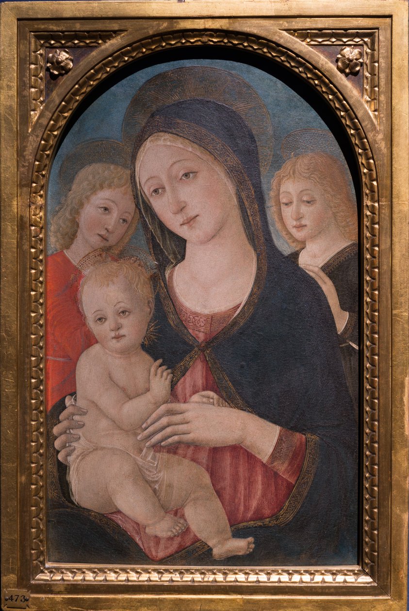 Madonna e criança com dois anjos, c.1480 (óleo no painel) de Pietro di Francesco degli Orioli
