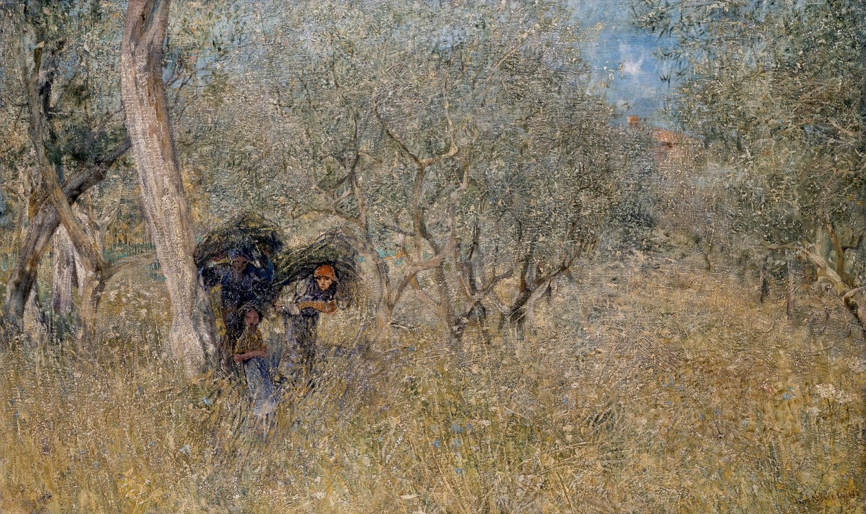 Entre oliveiras, fascina, de Plinio Nomellini (1866-1943), óleo sobre tela, 60x100 cm de Plinio Nomellini