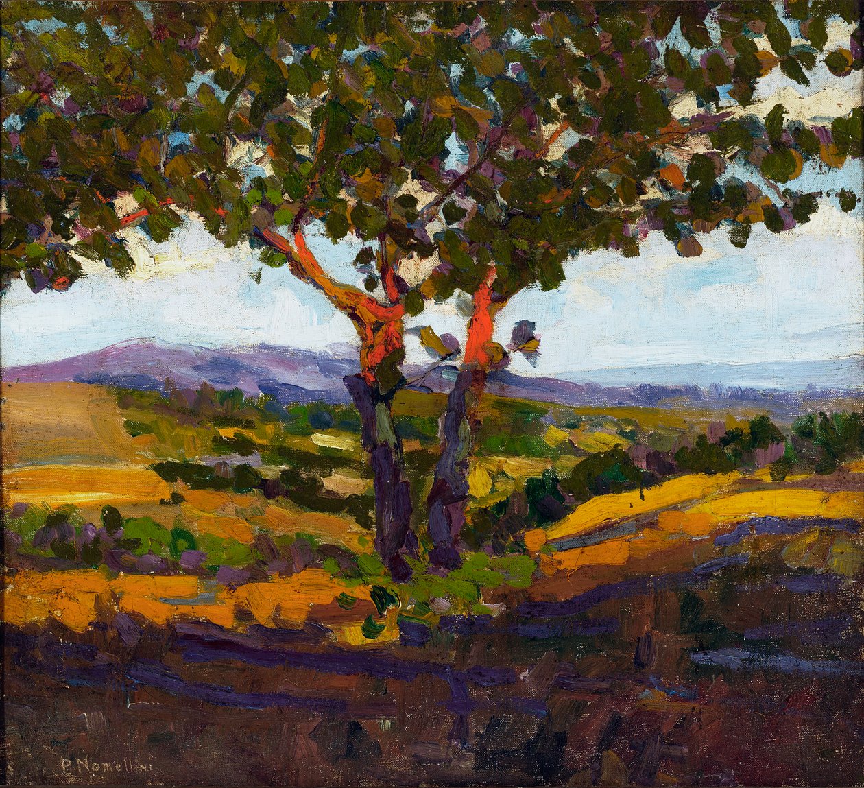 A saudação do sol, 1902 de Plinio Nomellini