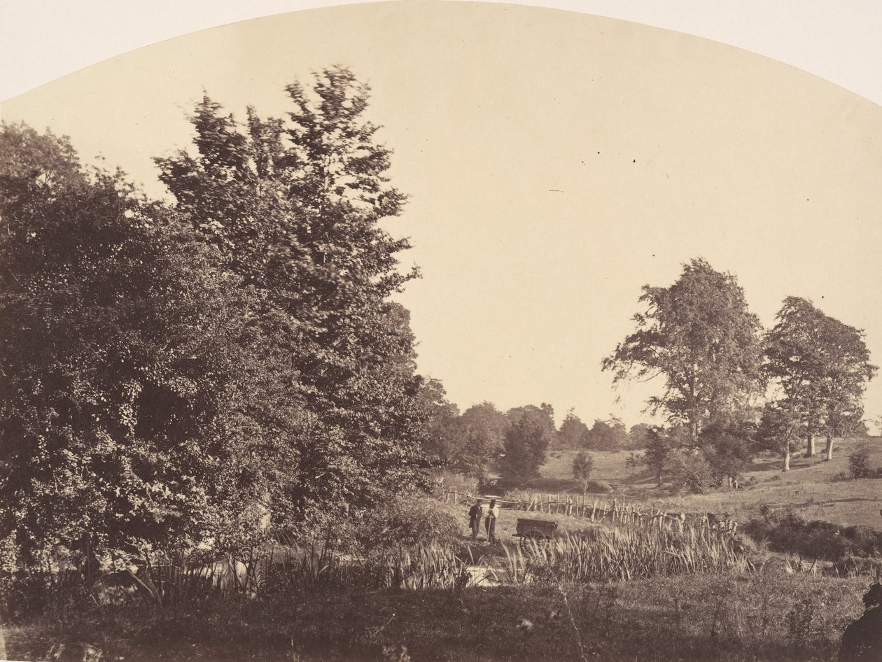 paisagem de Plunket