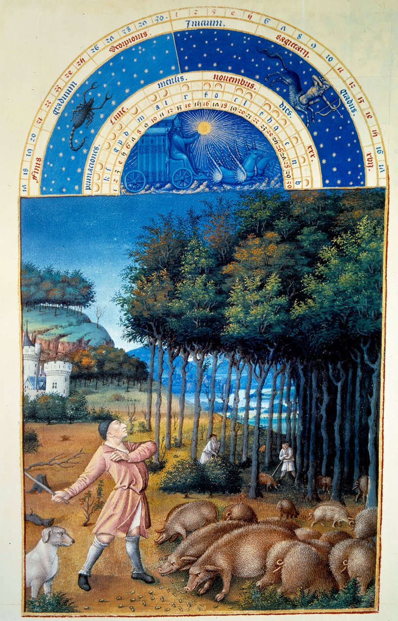 Novembro: o abate das bolotas. Miniatura em "The very rich hours of the Duke of Berry" de Pol De Limburg (século XV). Chantilly, Musee Conde de Pol de Limbourg