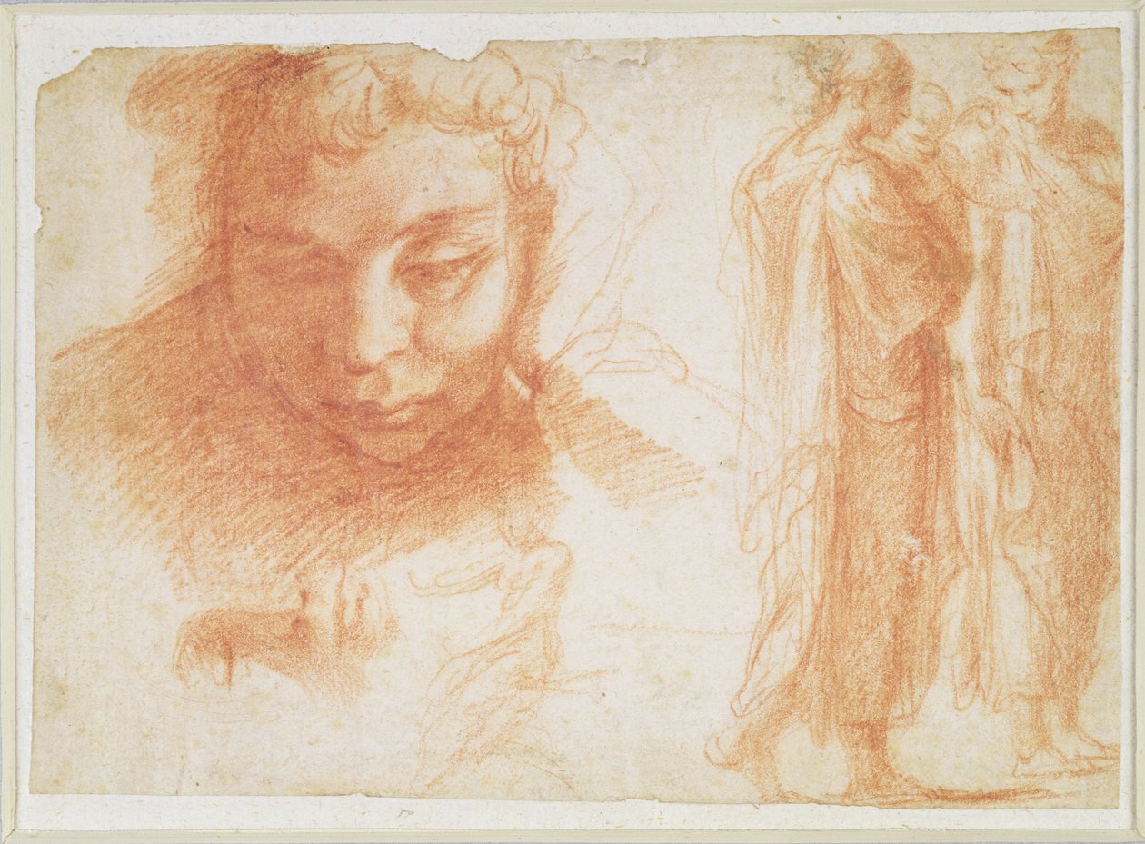 Estudos para a cabeça de um jovem olhando para baixo e para a Virgem da Anunciação, c.1527-28 (giz vermelho sobre papel) de Polidoro da Caravaggio