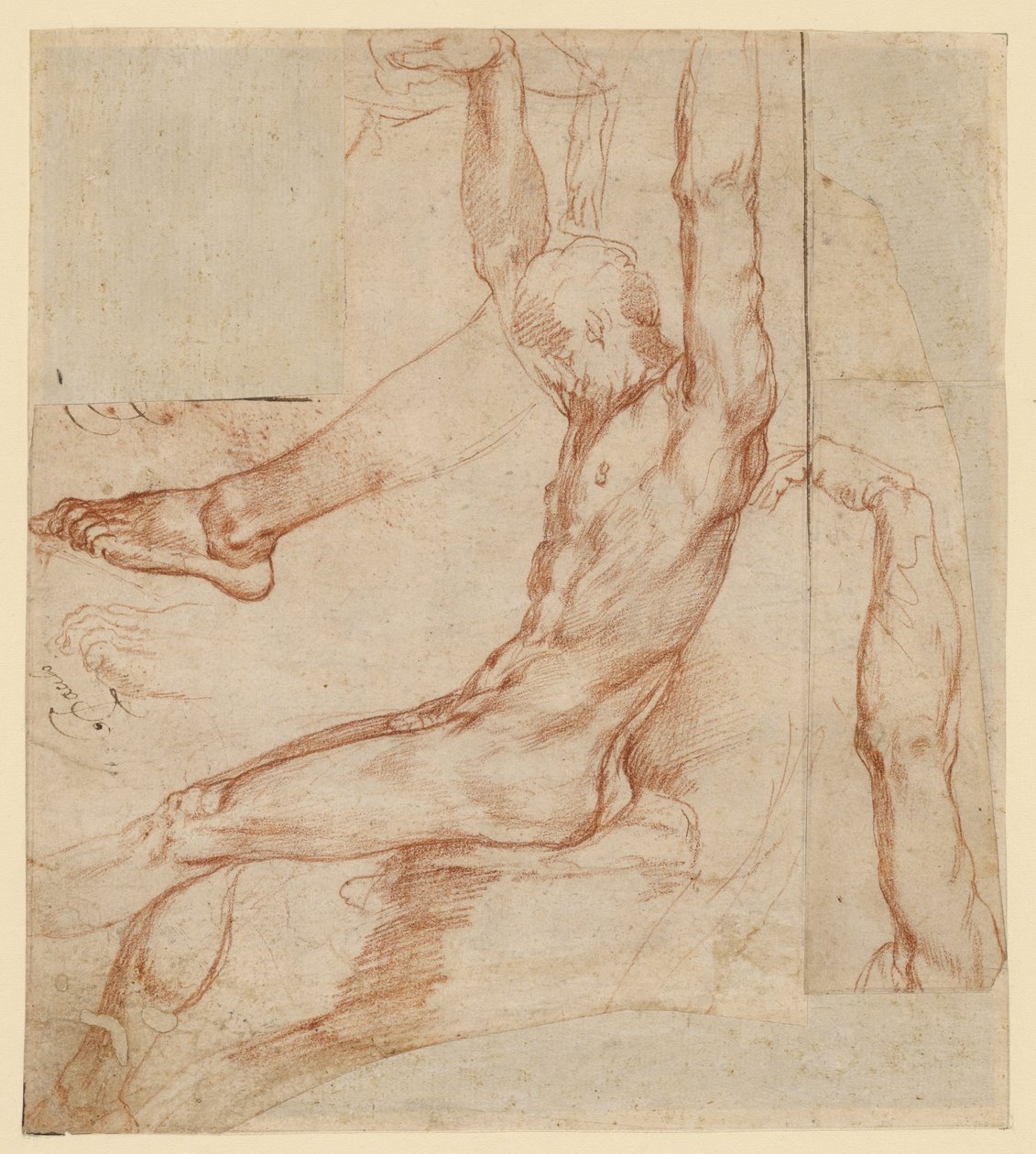 Estudo de um homem com vários esboços (anverso); Estudo de uma perna drapeada de um homem (verso) de Polidoro da Caravaggio (Polidoro Caldara)