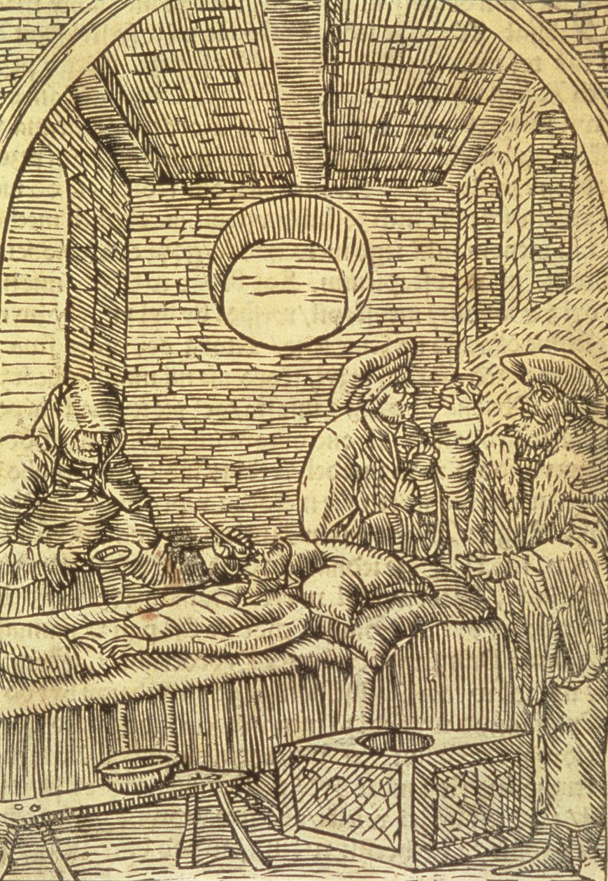 Administrando Ervas Medicinais, 1534 de Polish School