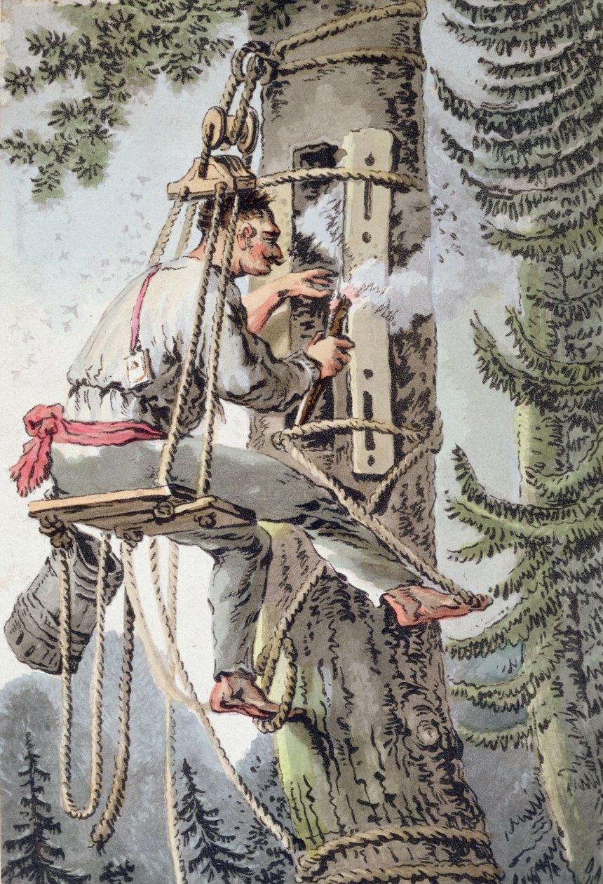 Camponês da província polaca de Podlaskie que recolhe mel, início do século XIX (cor litho) de Polish School