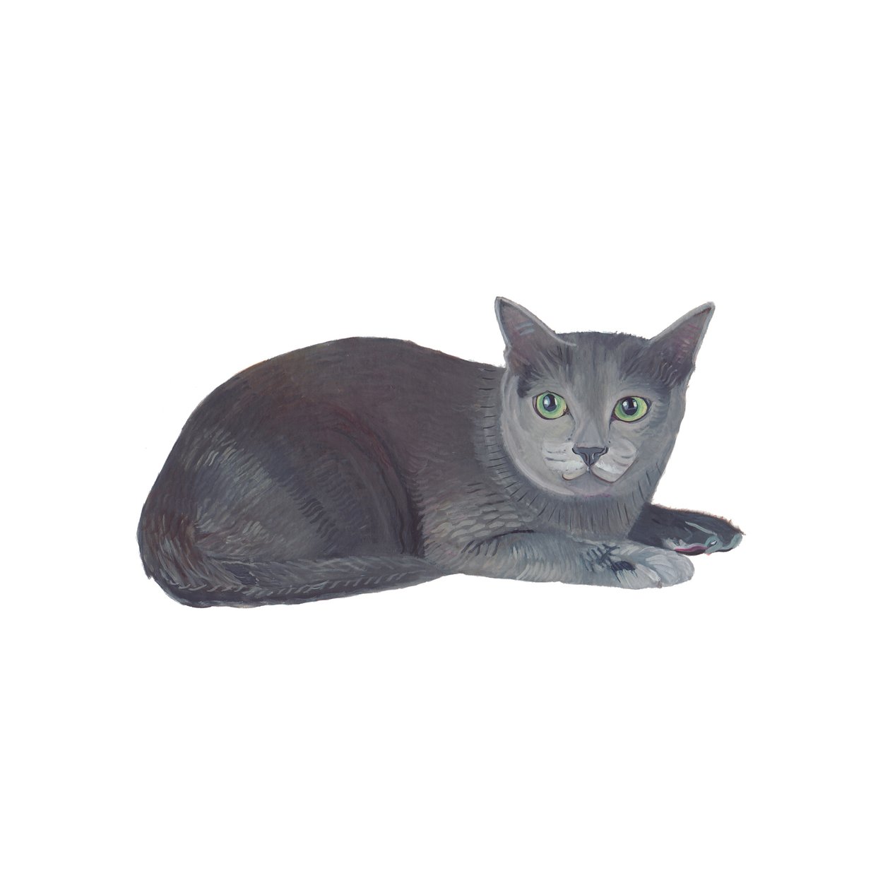 Korat, 2014 (aguarela e guache sobre papel) de Polly Horner