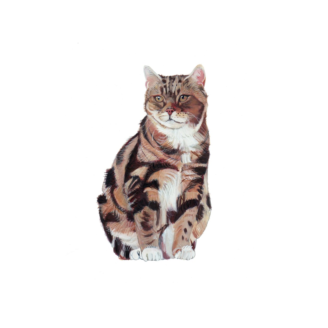 Manx, 2014 (aguarela e guache sobre papel) de Polly Horner