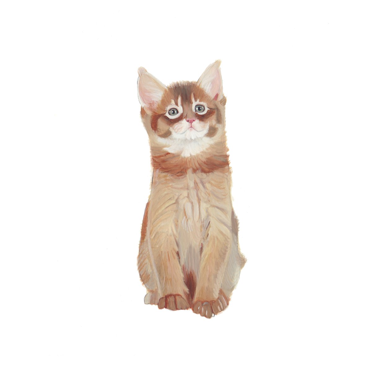 Gatinho somali, 2014 (aguarela e guache sobre papel) de Polly Horner