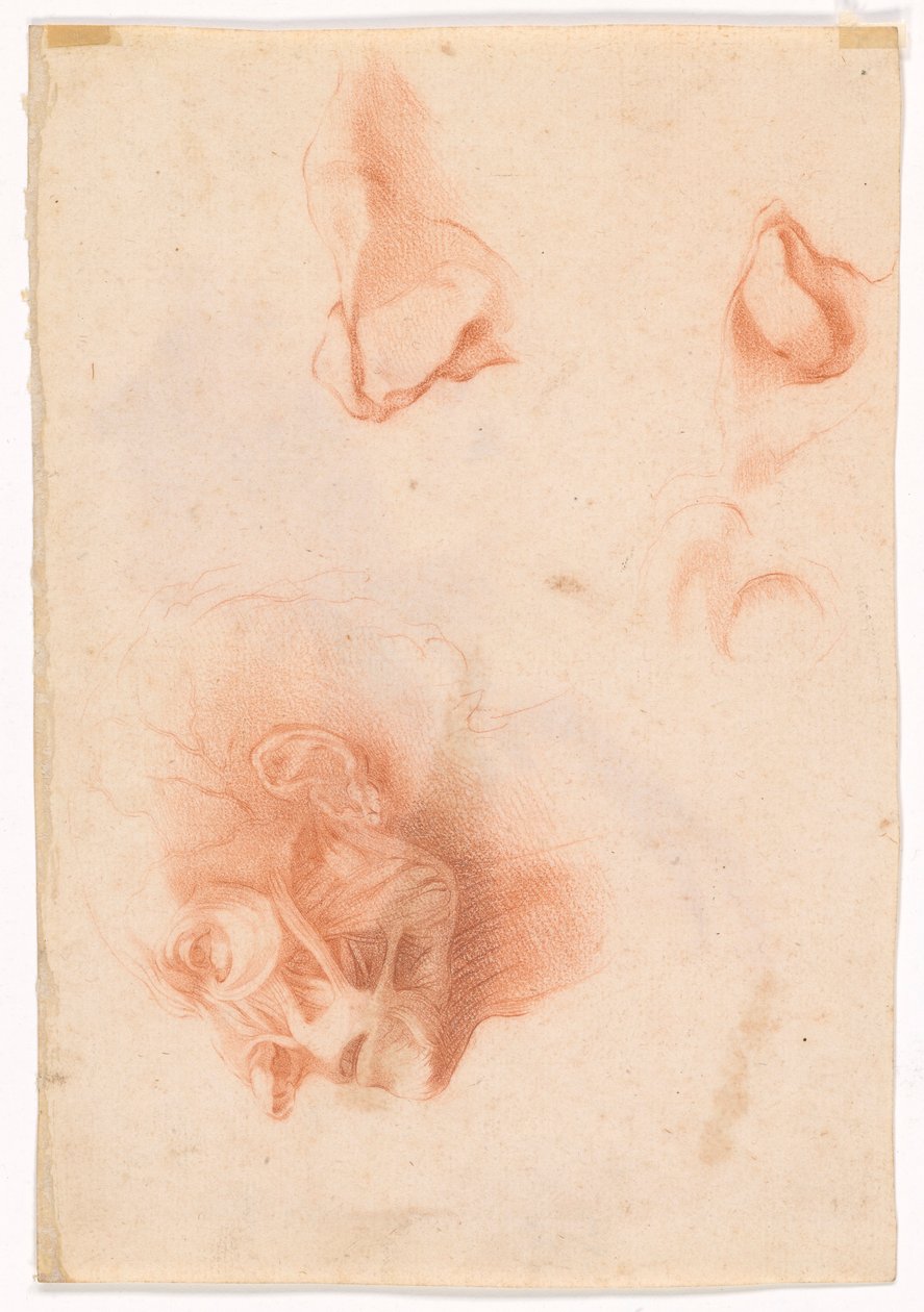 Cabeça de Homem, Rosto em Perfil (reto); Estudo Anatômico, Rosto em Perfil (verso) de Pompeo Girolamo Batoni