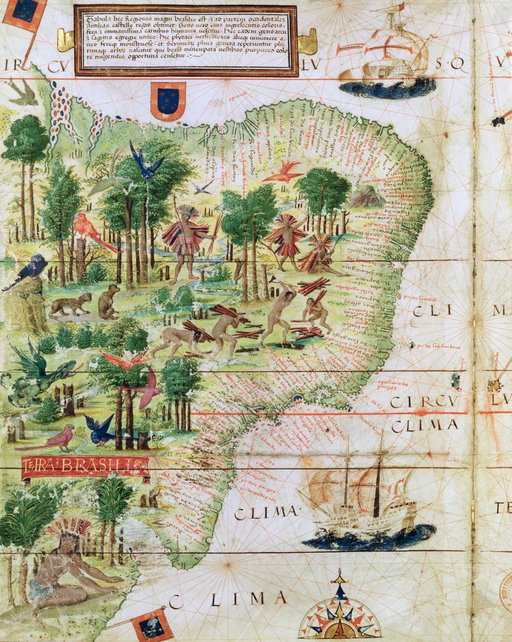 Brasil do &39;Miller Atlas&39; de Pedro Reinel, c.1519 (detalhe de 75615) de Portuguese School