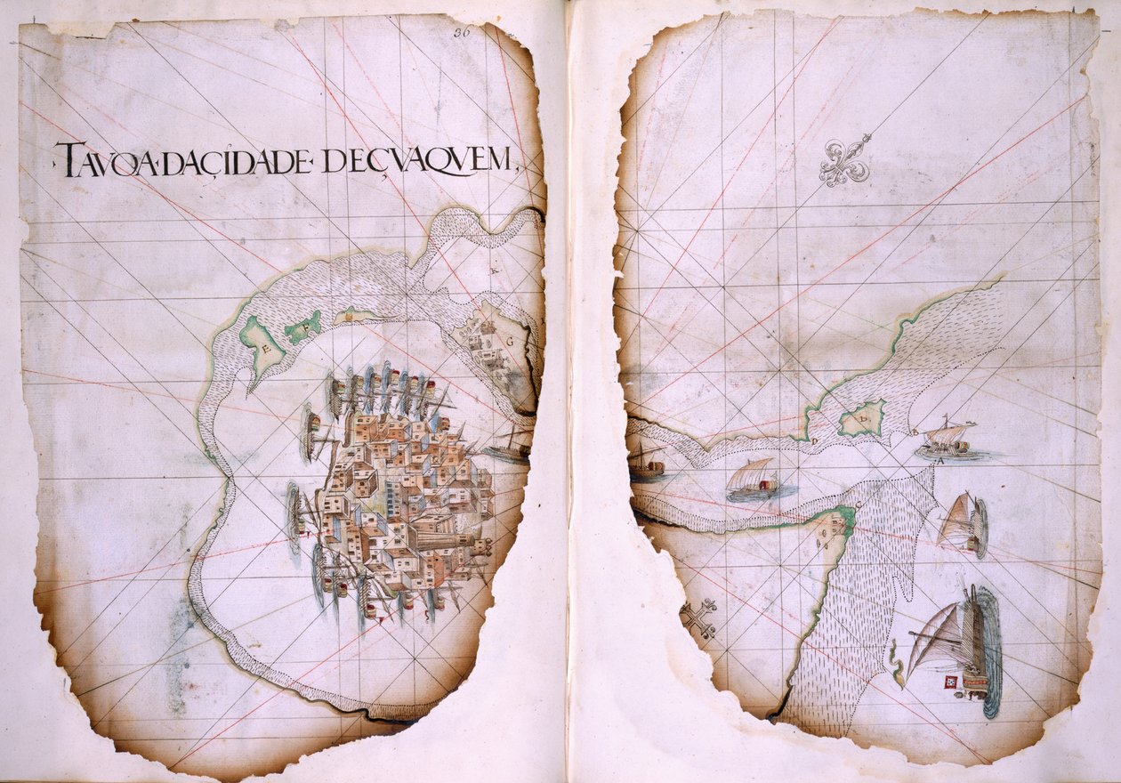 Algodão Tibério D. IX, ff.36v-37 Cuaquem e o Golfo Pérsico, ilustração do 
