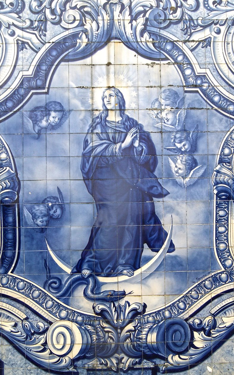Detalhe de um painel decorativo mostrando a Virgem Maria esmagando a serpente, Lamego, Portugal. 1738 de Portuguese School